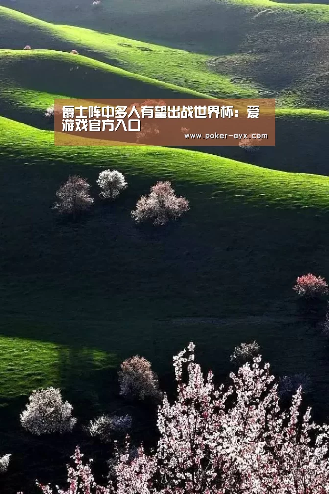 爵士阵中多人有望出战世界杯：爱游戏官方入口(图3)