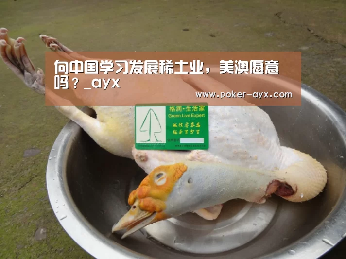 向中国学习发展稀土业,美澳愿意吗?_ayx(图2) 爱游戏官方入口