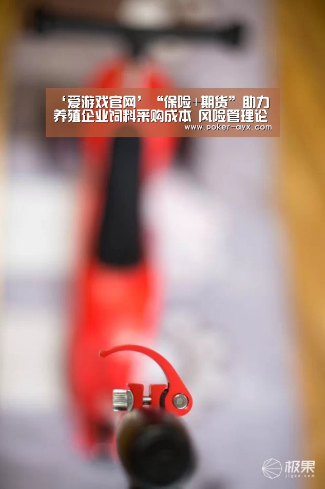 ‘爱游戏官网’“保险+期货”助力养殖企业饲料采购成本 风险管理论坛顺利举行(图2)